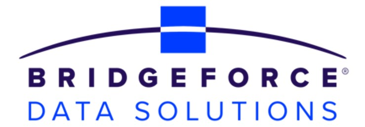 Bridgeforce Data Solutions Logo